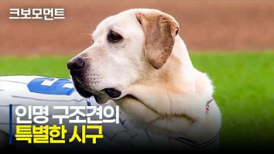 [KIA vs 삼성] 토백아~ 즐거운 시간 보내고 행복한 시간 보내야 한다~~ | 7.29 | 크보모먼트 | KBO 야구 하이라이트